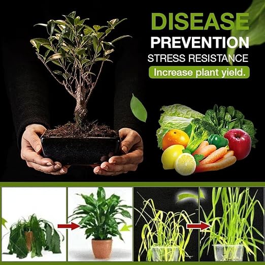 🌱 Soil Activator – Plant's Best Friend (BUY 1 GET 1 FREE ) Pack of 2