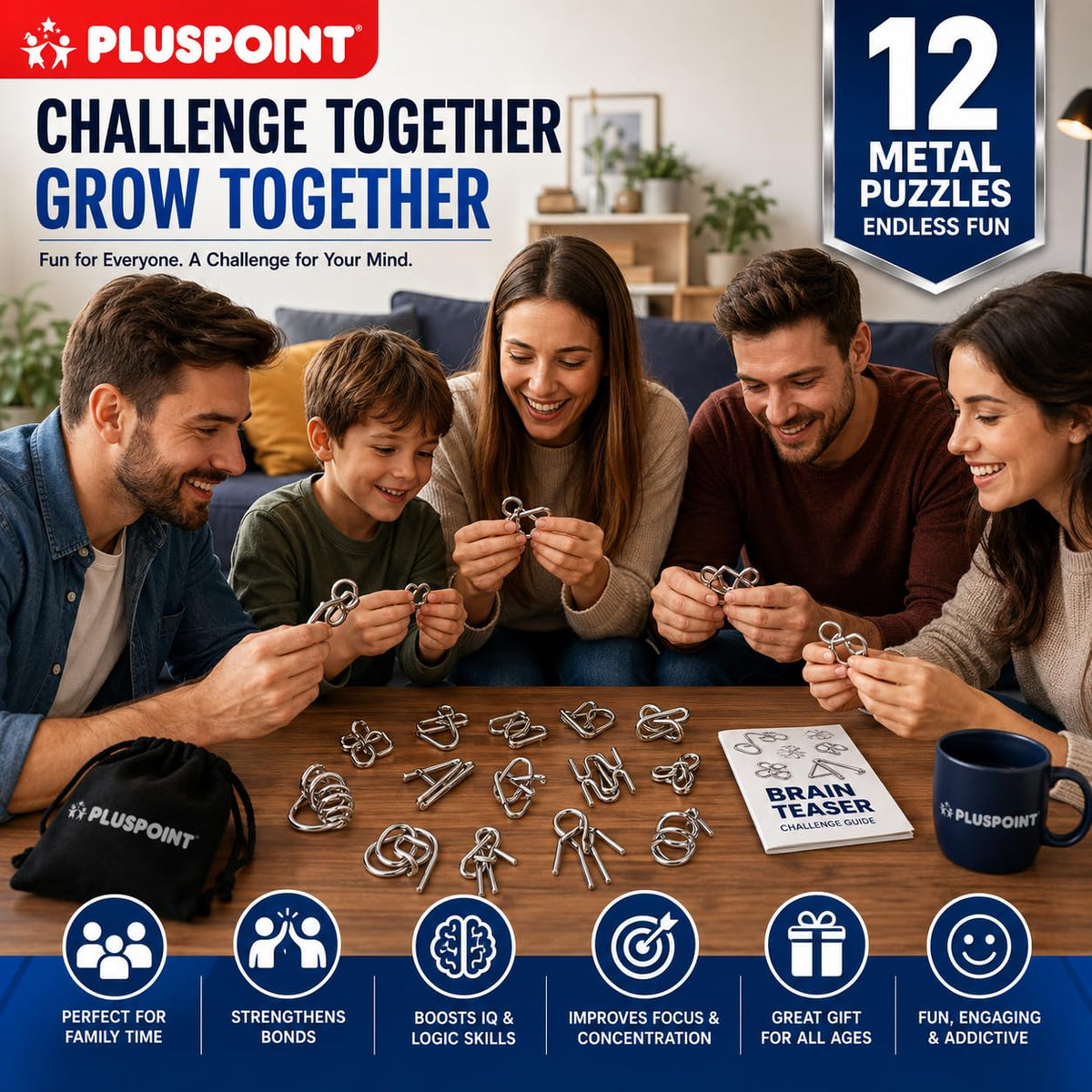 IQ Metal Puzzle Set 12 Pcs Set