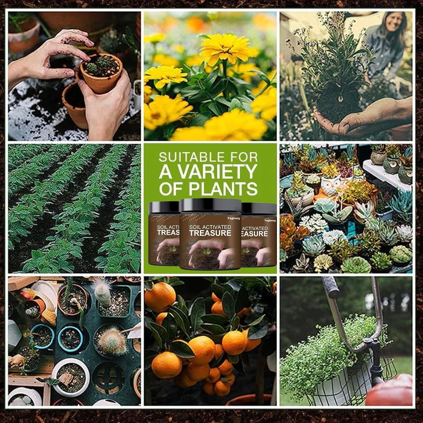 🌱 Soil Activator – Plant's Best Friend (BUY 1 GET 1 FREE ) Pack of 2