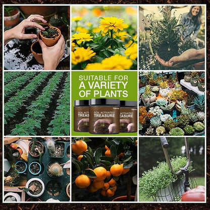 🌱 Soil Activator – Plant's Best Friend (BUY 1 GET 1 FREE ) Pack of 2