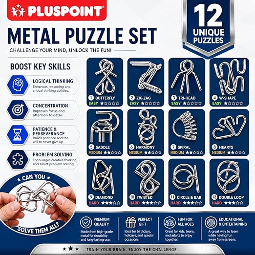 IQ Metal Puzzle Set 12 Pcs Set
