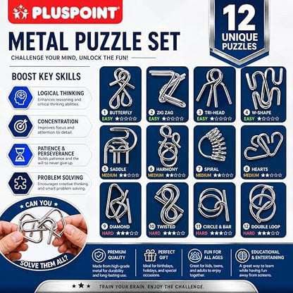 IQ Metal Puzzle Set 12 Pcs Set