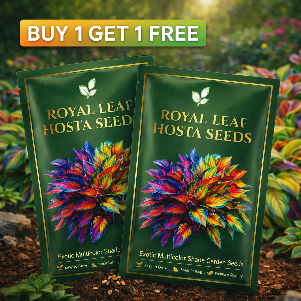 Imported Hosta Flower Seeds for Home and Garden Pack of 100+ (Mix of 12 Colors)