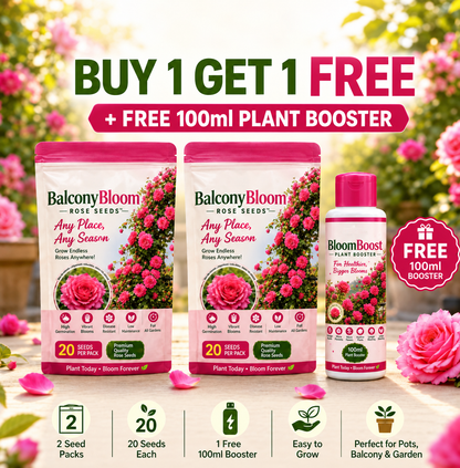 Bloom Roses Flower Seeds – Pack of 2 + Plant Booster | Beautiful Climbing Roses for Home & Garden