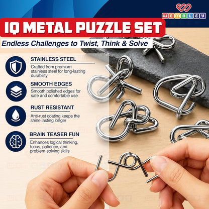 IQ Metal Puzzle Set 12 Pcs Set