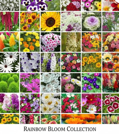 45 Varity-in-1 Flower MEGA-PACK! 🌸 Luxury Home Garden Kit + 🎁 FREE Plant Booster) 🌻