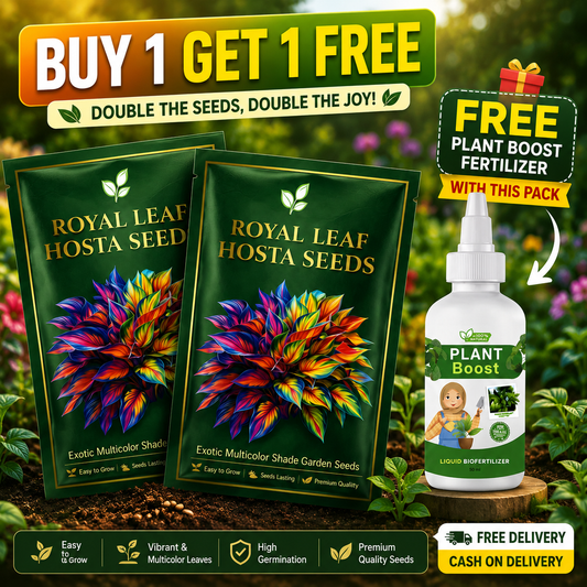 Imported Hosta Flower Seeds for Home and Garden Pack of 100+ (Free plant growth fertilizer)