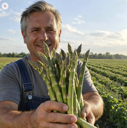 Asparagus Seeds For Planting "Hybrid" Herbs Plant Seeds | High Germination Rate | Asparagus for Home Gardens | Fresh & Non-GMO