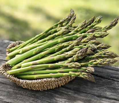 Asparagus Seeds For Planting "Hybrid" Herbs Plant Seeds | High Germination Rate | Asparagus for Home Gardens | Fresh & Non-GMO