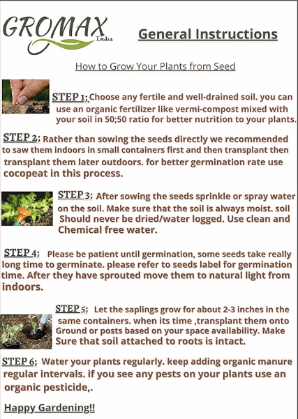 Asparagus Seeds For Planting "Hybrid" Herbs Plant Seeds | High Germination Rate | Asparagus for Home Gardens | Fresh & Non-GMO