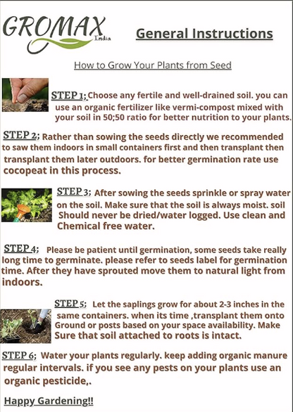 Asparagus Seeds For Planting "Hybrid" Herbs Plant Seeds | High Germination Rate | Asparagus for Home Gardens | Fresh & Non-GMO